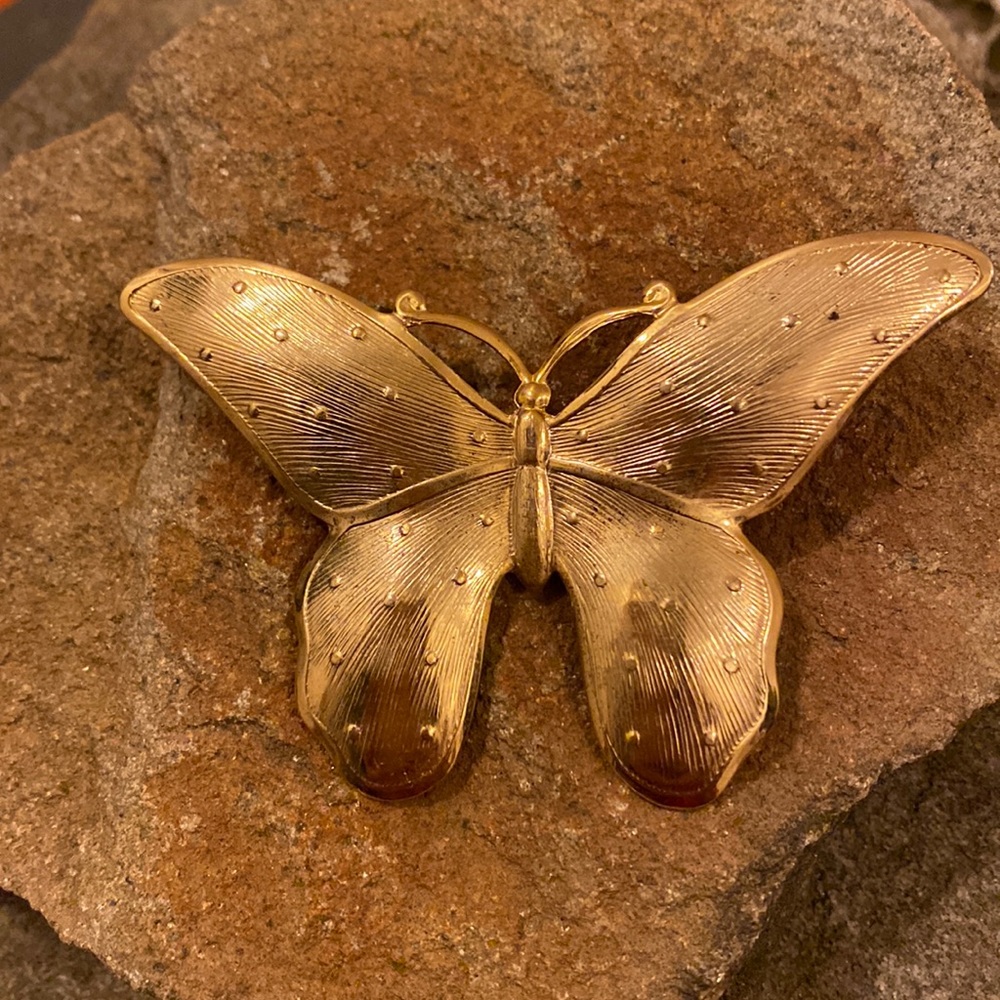 🔆💖Butterfly women’s brooch